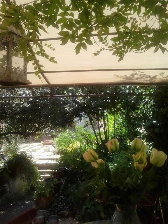 Il Cenacolo Di Sissi Apartment Кампаняно ди Рома Екстериор снимка